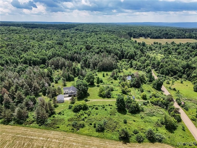 9216 Glinderman Rd, Caneadea, NY 14735 - photo 9