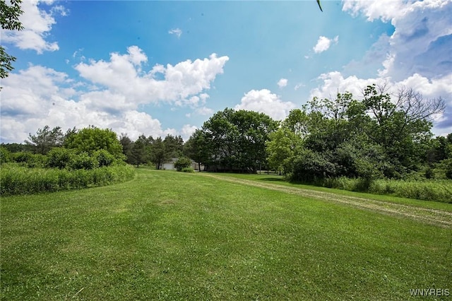 9216 Glinderman Rd, Caneadea, NY 14735 - photo 47