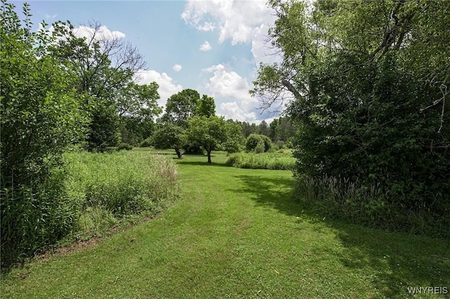 9216 Glinderman Rd, Caneadea, NY 14735 - photo 48