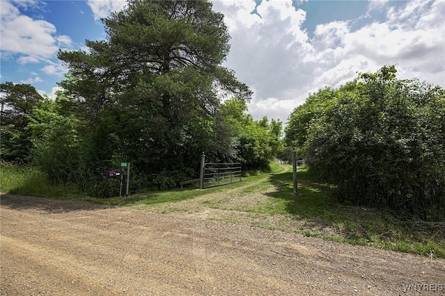 9216 Glinderman Rd, Caneadea, NY 14735 - photo 49