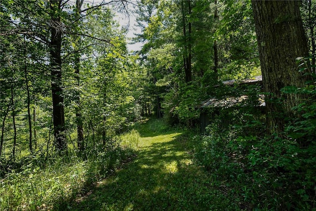 6088 Middlebrook Rd, South Bristol, NY 14512 - photo 38