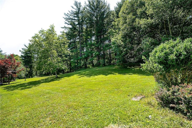 6088 Middlebrook Rd, South Bristol, NY 14512 - photo 41