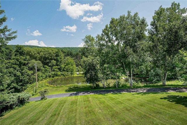 6088 Middlebrook Rd, South Bristol, NY 14512 - photo 4