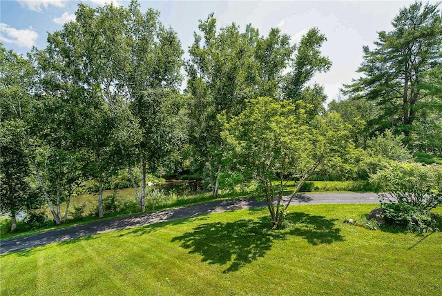 6088 Middlebrook Rd, South Bristol, NY 14512 - photo 5