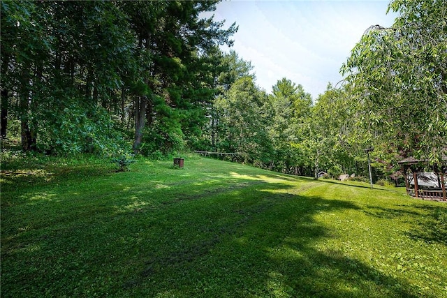 6088 Middlebrook Rd, South Bristol, NY 14512 - photo 27