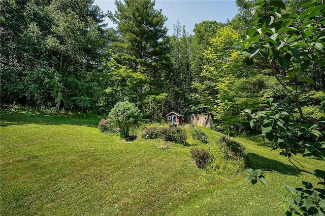 6088 Middlebrook Rd, South Bristol, NY 14512 - photo 29