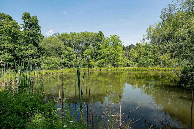6088 Middlebrook Rd, South Bristol, NY 14512 - photo 32