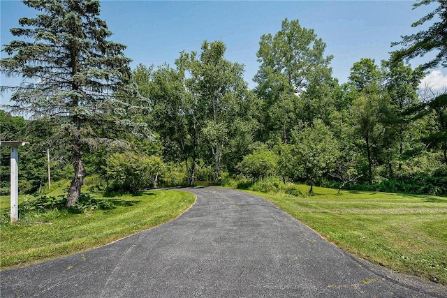 6088 Middlebrook Rd, South Bristol, NY 14512 - photo 34
