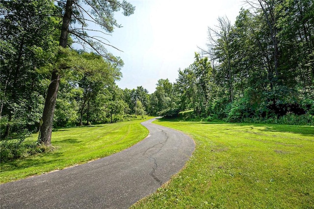 6088 Middlebrook Rd, South Bristol, NY 14512 - photo 35