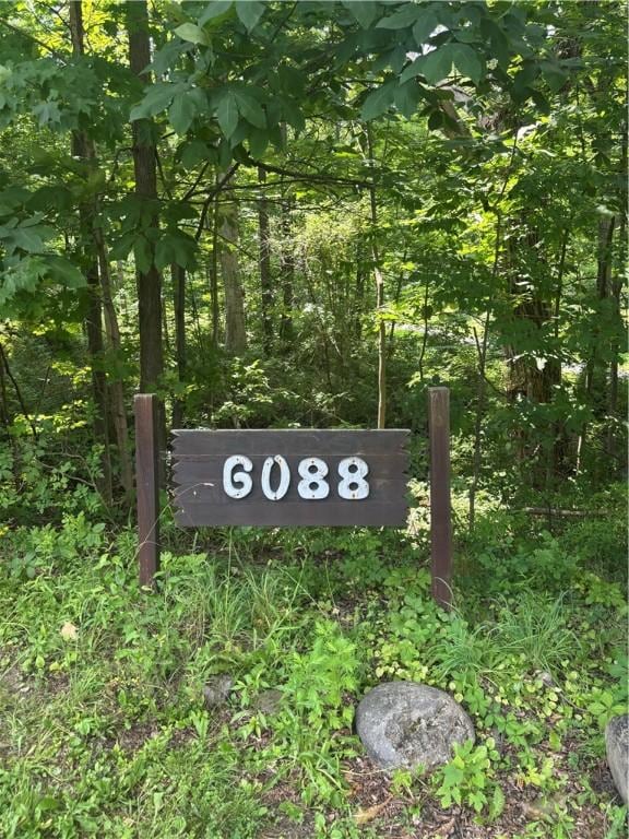 6088 Middlebrook Rd, South Bristol, NY 14512 - photo 43