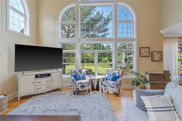 1002 Oreste St, Camillus, NY 13031 - living room featuring plenty of natural light, wood finished floors, and a towering ceiling