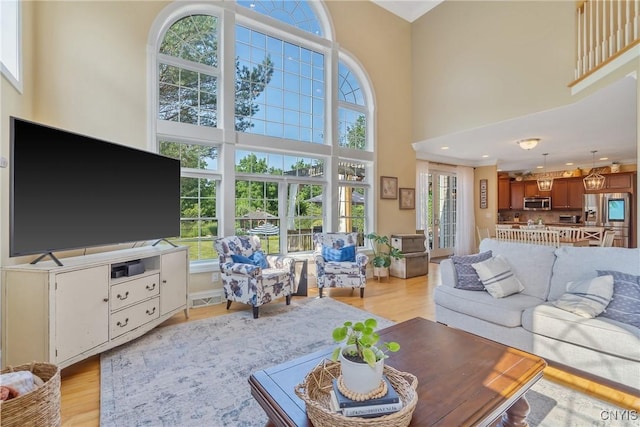 1002 Oreste St, Camillus, NY 13031 - living room with light wood-style floors and a towering ceiling