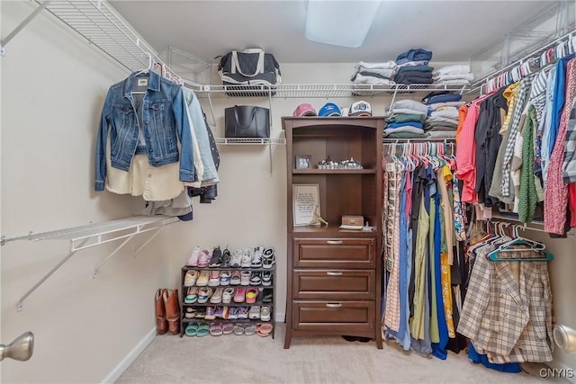 1002 Oreste St, Camillus, NY 13031 - walk in closet with carpet