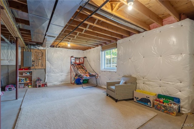 1002 Oreste St, Camillus, NY 13031 - below grade area with electric panel