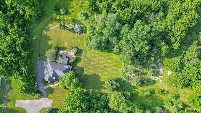 1002 Oreste St, Camillus, NY 13031 - aerial view of property's location