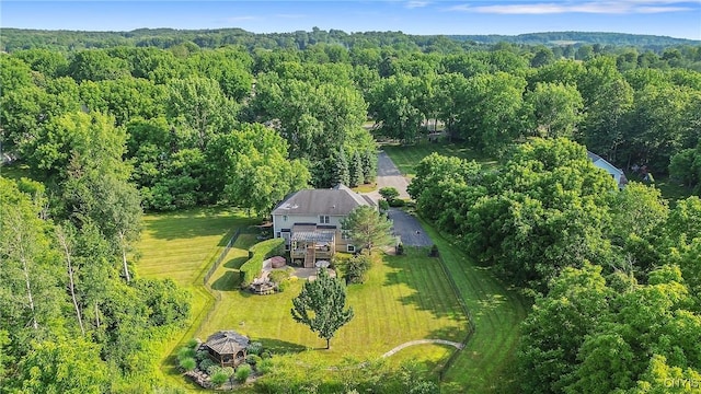 1002 Oreste St, Camillus, NY 13031 - view from above of property with a heavily wooded area