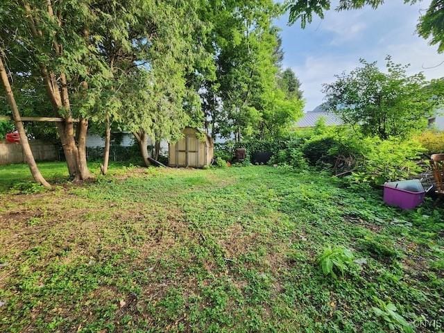 312 Richmond Ave Unit 314, Syracuse, NY 13204 - view of yard with a storage shed