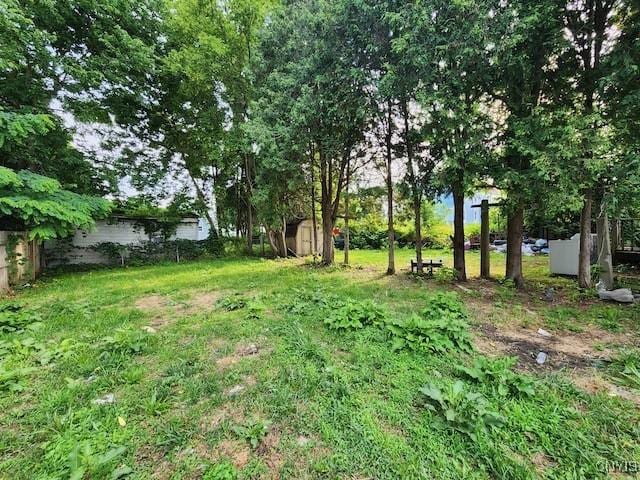312 Richmond Ave Unit 314, Syracuse, NY 13204 - view of yard featuring a shed