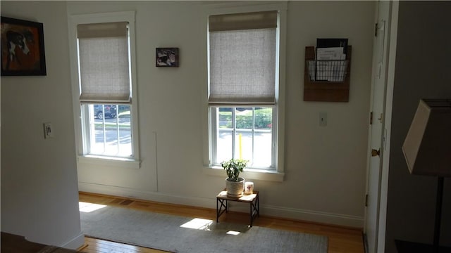 164 S Fitzhugh St, Rochester, NY 14608 - entrance foyer with wood finished floors