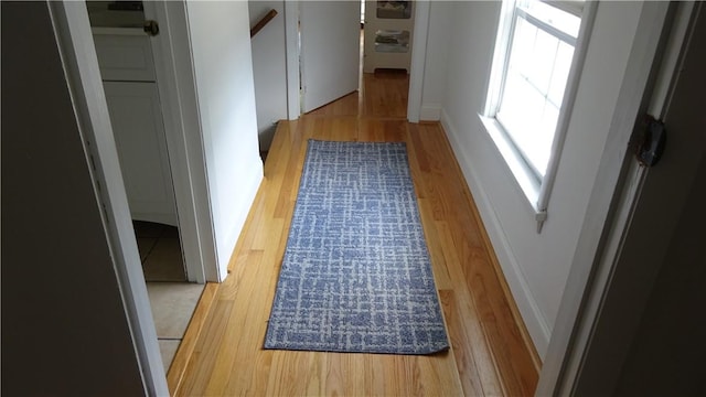 164 S Fitzhugh St, Rochester, NY 14608 - hallway with wood finished floors and baseboards