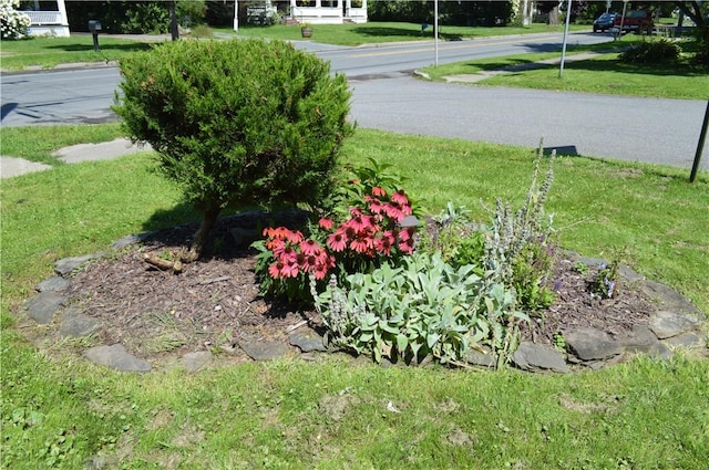 132 Main St, Unadilla, NY 13849 - view of green lawn