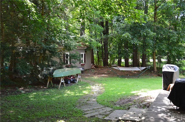 132 Main St, Unadilla, NY 13849 - view of grassy yard