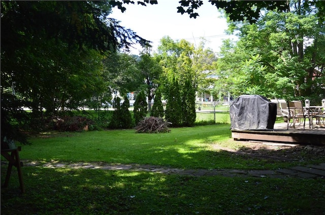 132 Main St, Unadilla, NY 13849 - view of yard with a wooden deck