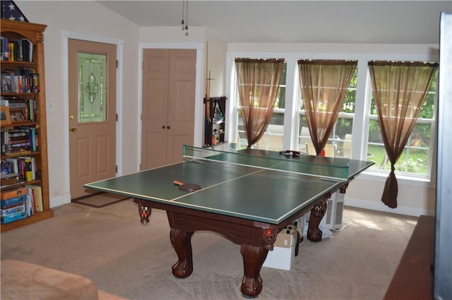 132 Main St, Unadilla, NY 13849 - rec room with carpet and baseboards