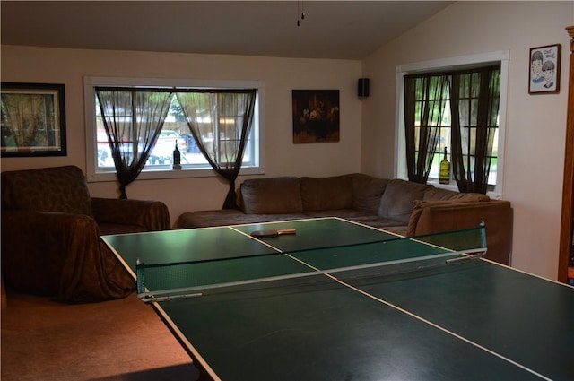 132 Main St, Unadilla, NY 13849 - game room with lofted ceiling and carpet flooring