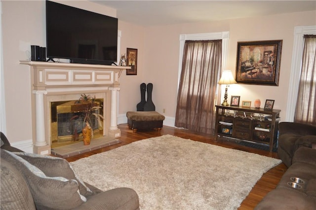 132 Main St, Unadilla, NY 13849 - living room with wood finished floors and a glass covered fireplace