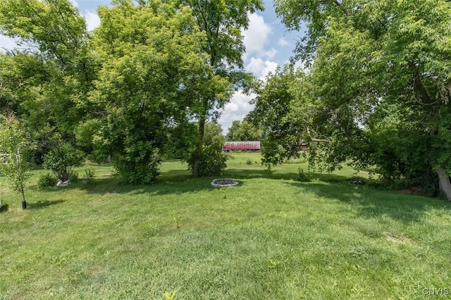 15243 Factory St, Clayton, NY 13632 - view of green lawn