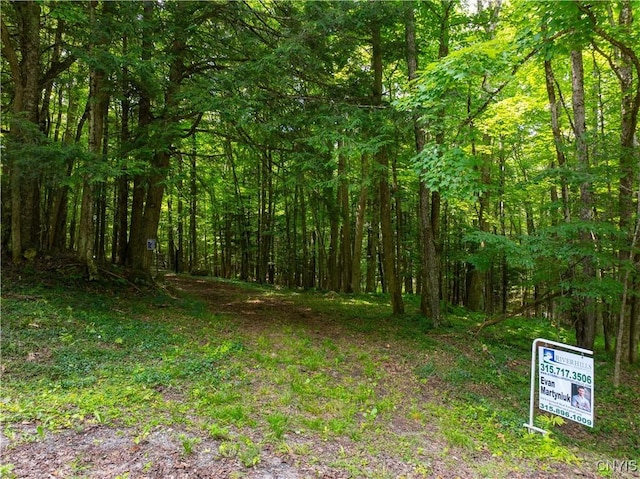 Voorhees Rd, Oppenheim, NY 13329 - photo 6