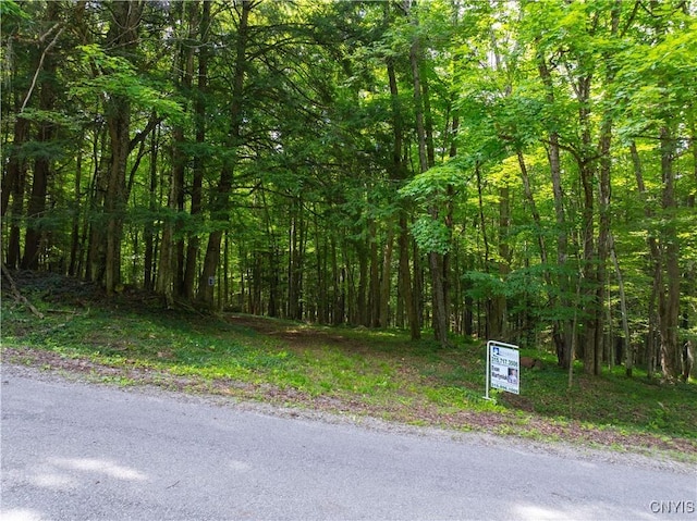 Voorhees Rd, Oppenheim, NY 13329 - photo 7