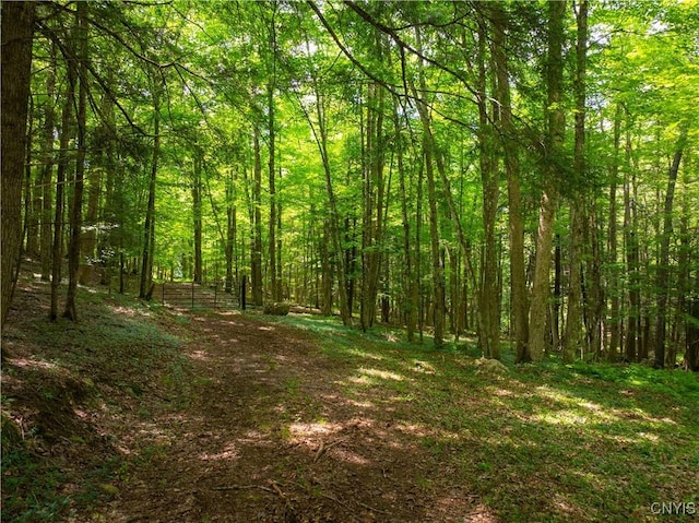 Voorhees Rd, Oppenheim, NY 13329 - photo 3