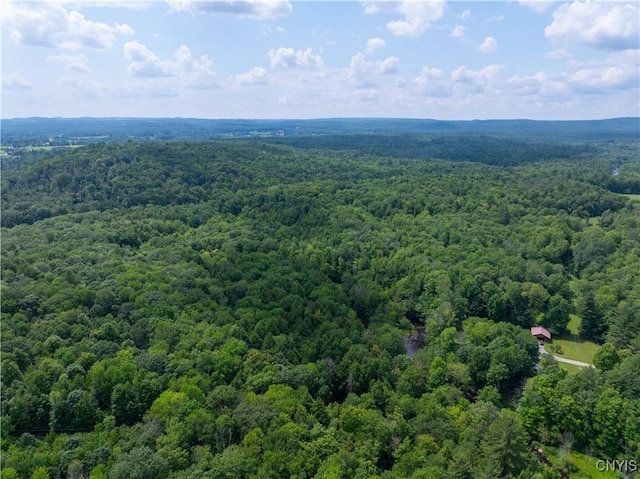 Voorhees Rd, Oppenheim, NY 13329 - photo 9