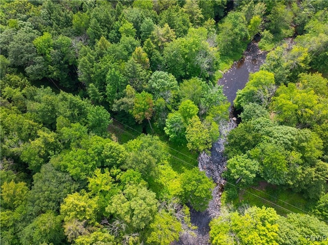 Voorhees Rd, Oppenheim, NY 13329 - photo 5