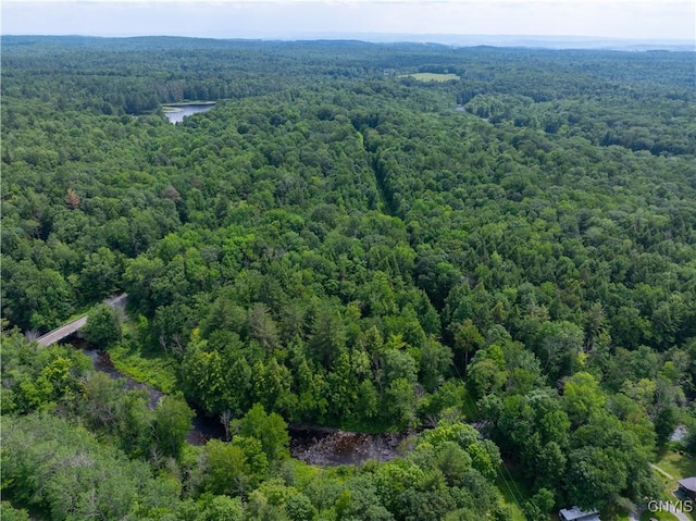 Voorhees Rd, Oppenheim, NY 13329 - photo 12