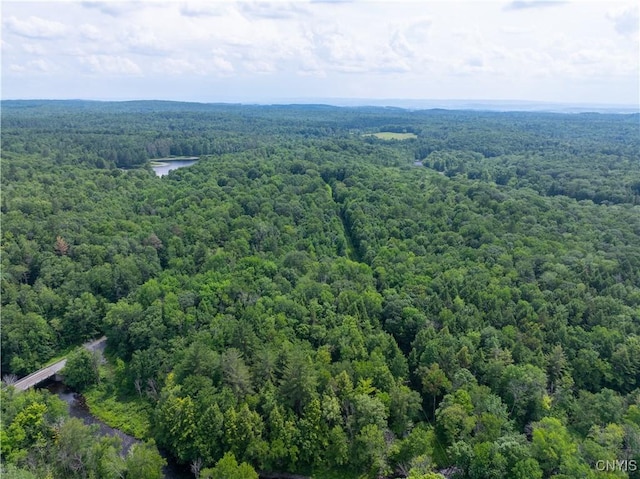 Voorhees Rd, Oppenheim, NY 13329 - photo 13