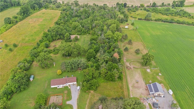 1728 Dalton Rd, Lima, NY 14485 - view of rural area with rows of crops