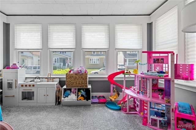 144 Whitfield Ave, Buffalo, NY 14220 - game room with plenty of natural light and carpet floors