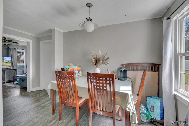 10470 Main St, North Collins, NY 14111 - dining area with wood finished floors and ornamental molding