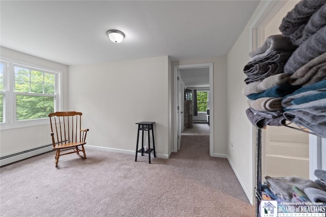 2777 S Roberts Rd, Sheridan, NY 14063 - sitting room featuring carpet and baseboards