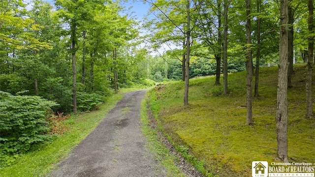 2777 S Roberts Rd, Sheridan, NY 14063 - view of street featuring a wooded view