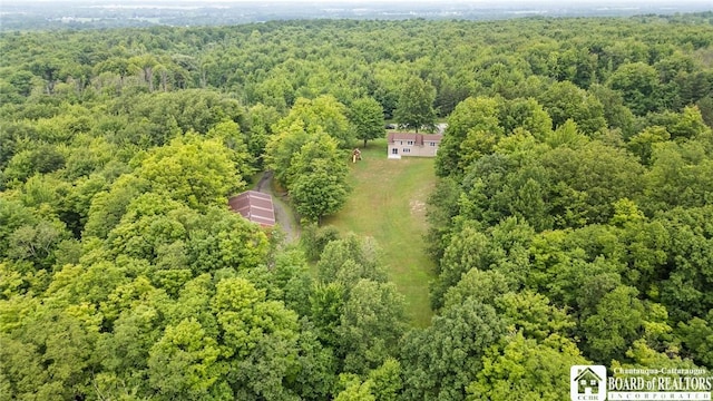 2777 S Roberts Rd, Sheridan, NY 14063 - aerial view of a heavily wooded area