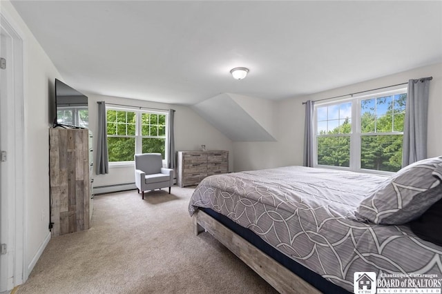 2777 S Roberts Rd, Sheridan, NY 14063 - carpeted bedroom with a baseboard heating unit and multiple windows