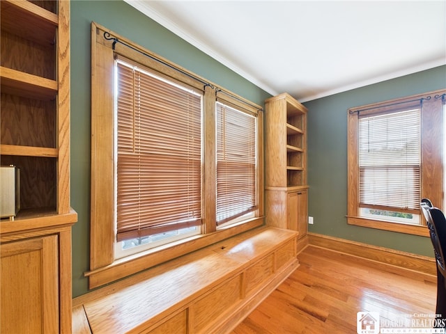 118 N 3rd St, Allegany, NY 14706 - unfurnished office featuring ornamental molding and light wood-style flooring