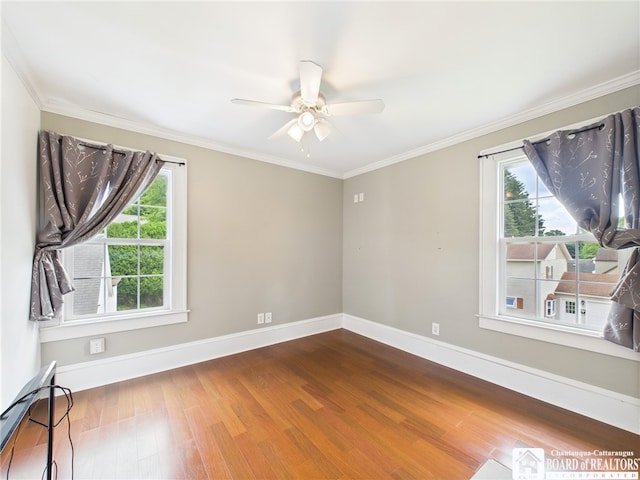 118 N 3rd St, Allegany, NY 14706 - empty room with healthy amount of natural light, ceiling fan, dark wood-style flooring, and crown molding