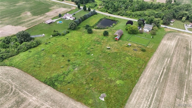 11143 Chaddock Rd, Alexander, NY 14005 - photo 33