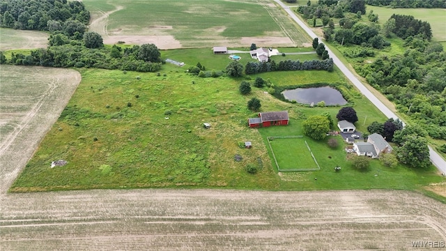11143 Chaddock Rd, Alexander, NY 14005 - photo 34