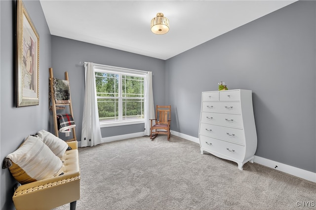 8873 Salvatore Ave, Lysander, NY 13027 - sitting room with baseboards and carpet floors